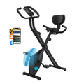 BARWING Stationary Exercise Bike for Home Workout